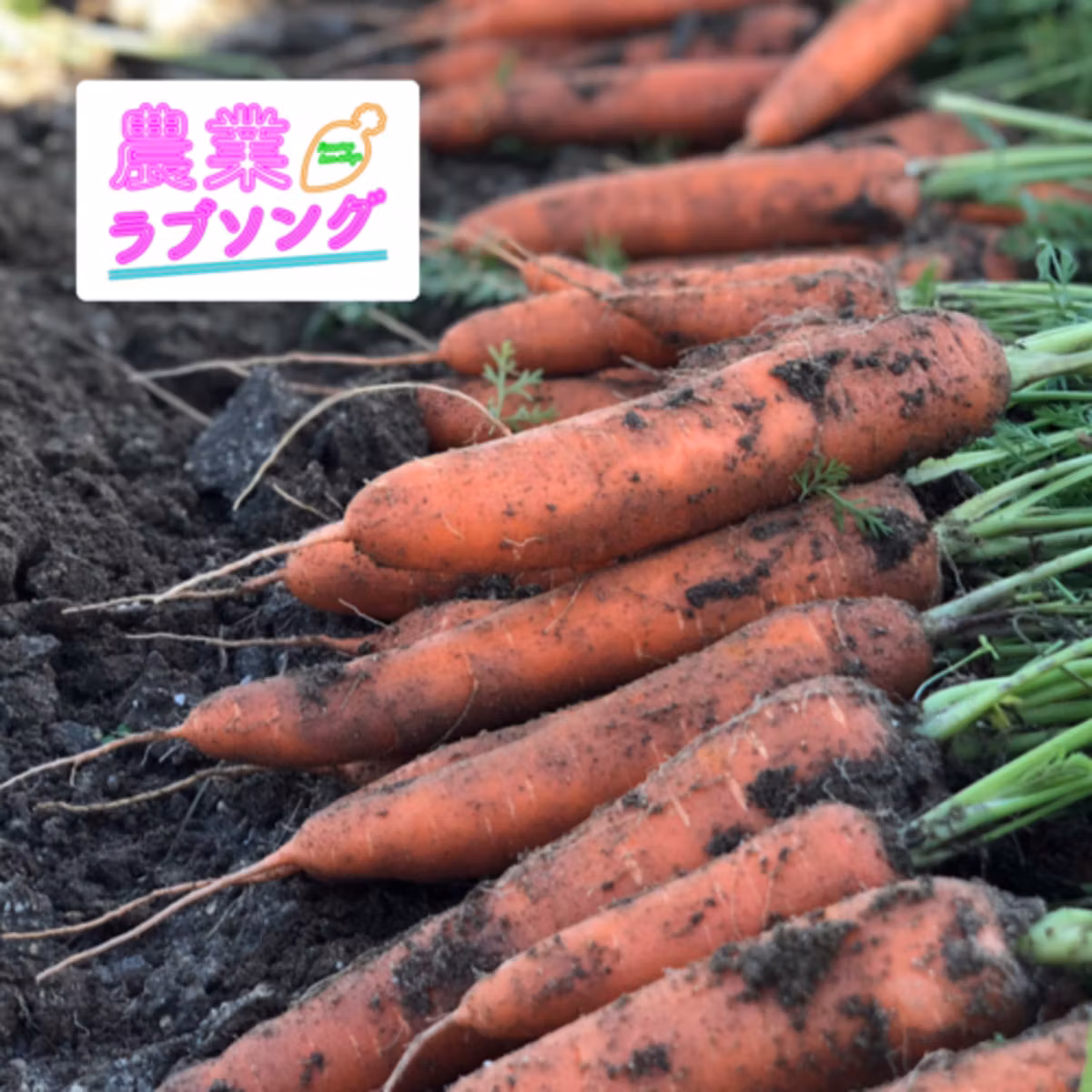 Ep.179 農の可能性をカタチにする！鈴盛農園の経営戦略ー範囲の経済編ー