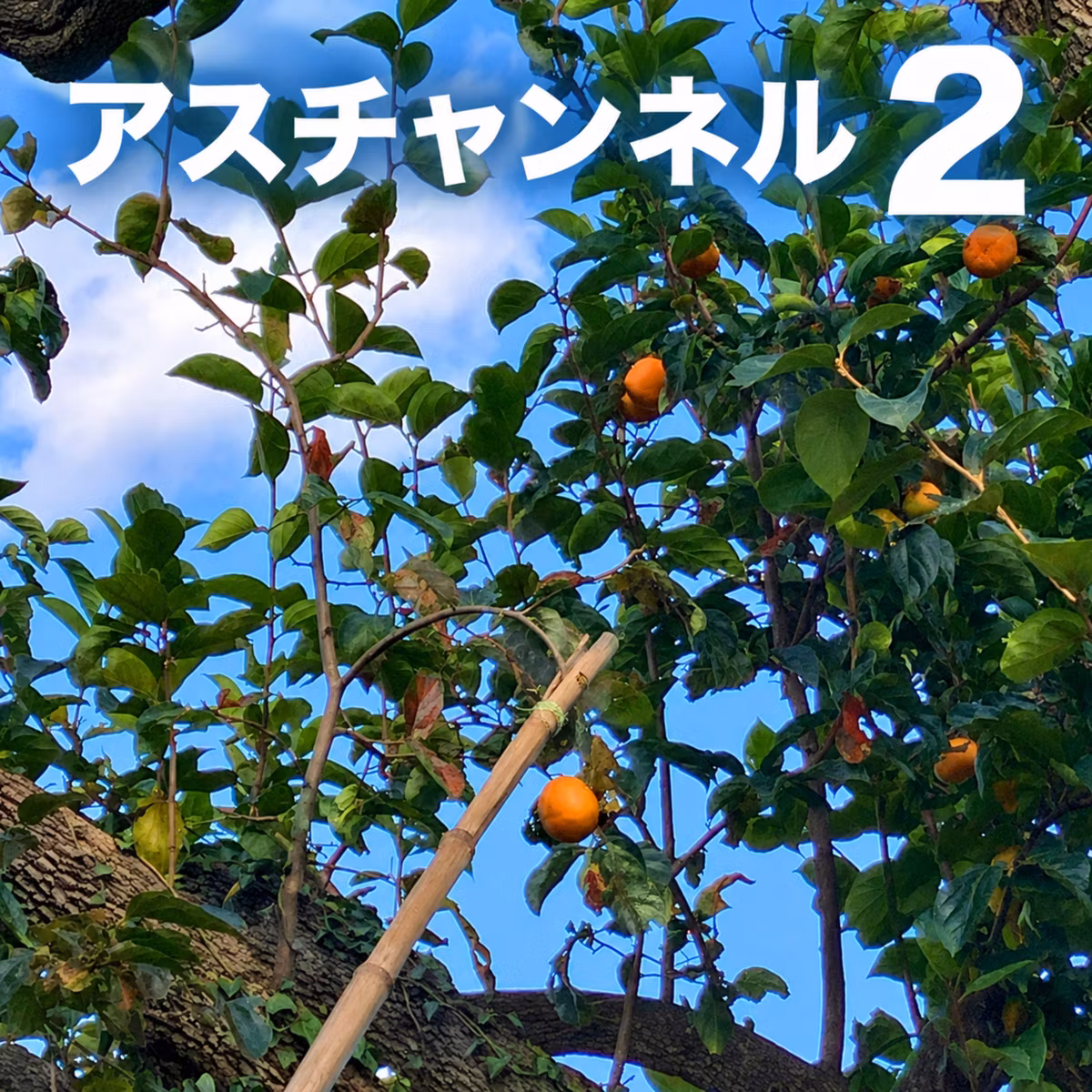 クマ対策ボランティアを通して、働き方を考えたり。