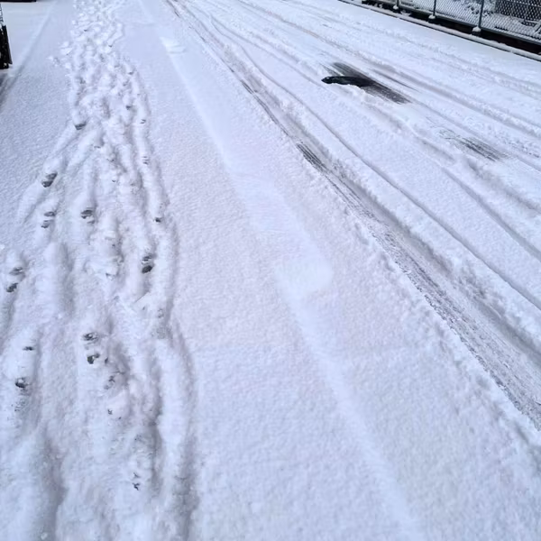 雪の朝