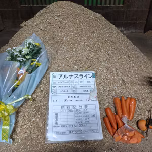 最終回