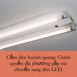 Cấm đèn huỳnh quang: Chính quyền địa phương gấp rút chuyển sang đèn LED.