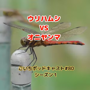 ウリハムシVSオニヤンマ#80｜ごいち 家庭菜園がおもしろい シーズン１｜Urihamushi VS Oniyanma #podcast