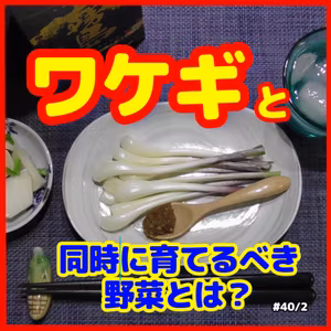 ワケギと同時に育てたい野菜とは？40｜ごいち 家庭菜園がおもしろい シーズン２｜What vegetables do you want to grow at the same time as scallions? #podcast