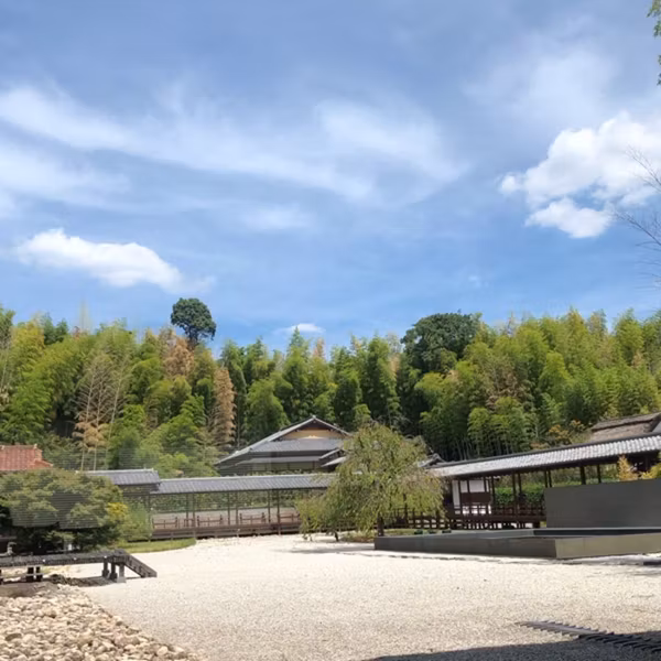 心が乱れた出来事を振り返る瞑想🌿