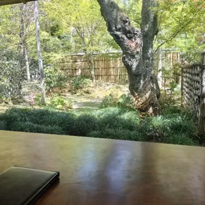 そうだ、京都に行こう②
