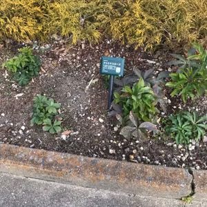 ほらやっぱり