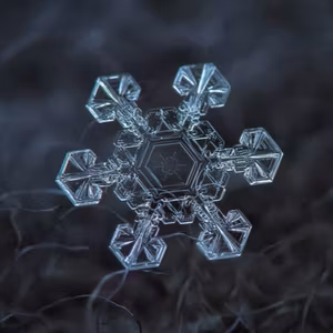 ep.104 雪の結晶は天から送られた手紙。美しくて不思議いっぱい