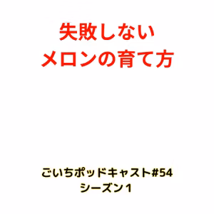 失敗しないメロンの育て方#54｜ごいち 家庭菜園がおもしろい シーズン１