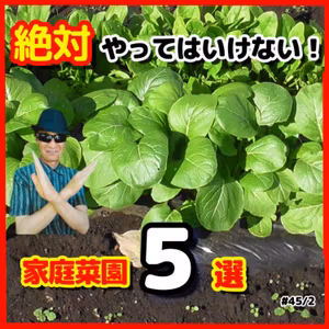 家庭菜園で絶対やってはいけないこと５点| ごいちポッドキャスト Goichi Podcast