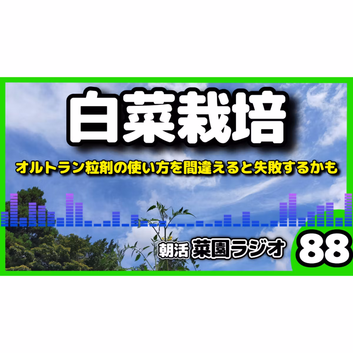 ＜白菜栽培＞オルトランの使い方を間違えると失敗する【朝活菜園ラジオ】