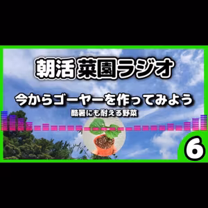 酷暑にはゴーヤーを育てよう【サラリーマンの朝活菜園ラジオ】