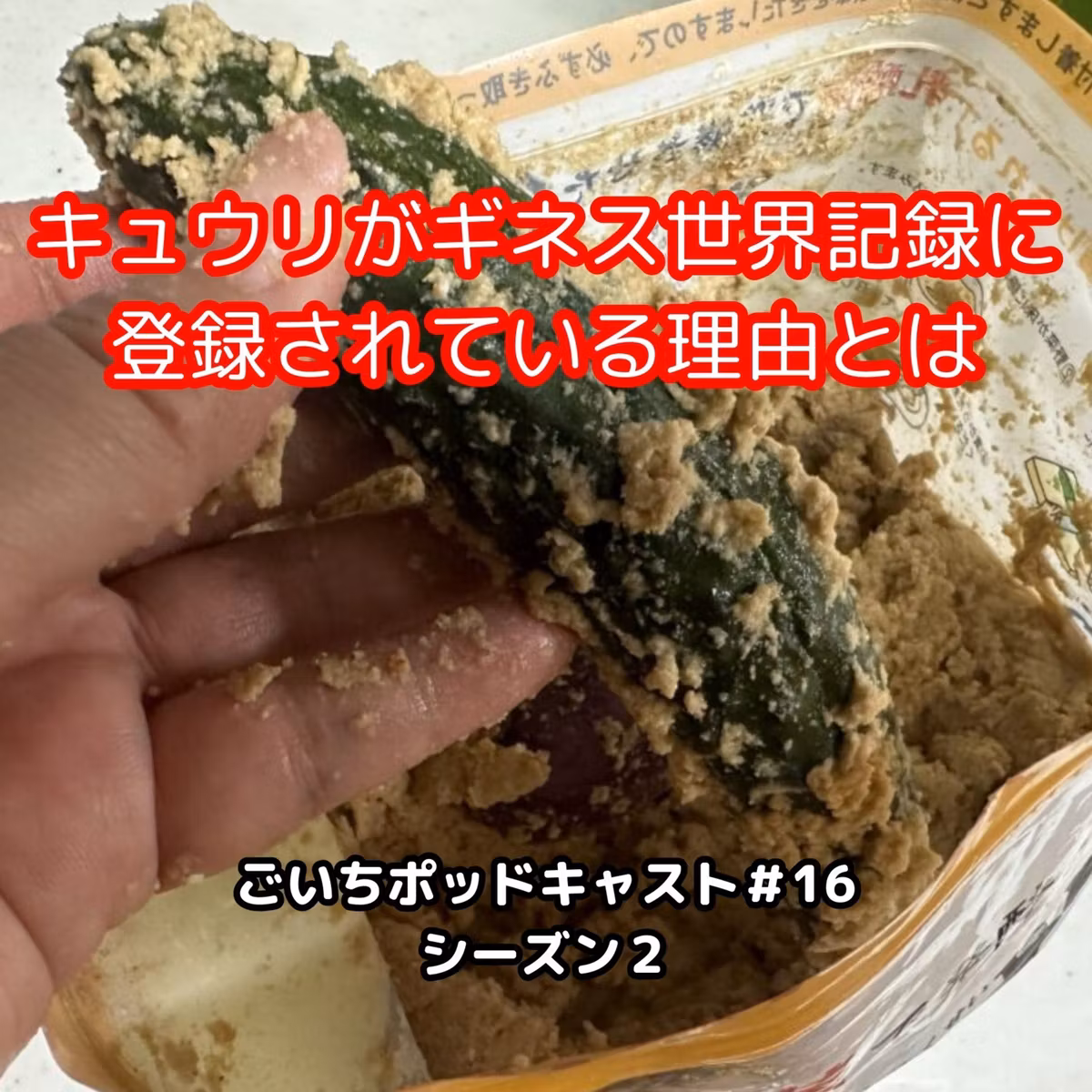 キュウリがギネス世界記録に登録されている理由とは#16｜ごいち 家庭菜園がおもしろい シーズン２｜Why Cucumbers Are in the Guinness World Records #podcast