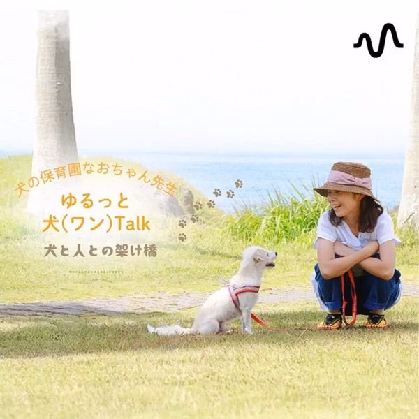 ドッグトレーナー🐶なおちゃん先生の《もう悩まない‼️ポジティブ犬育て💛》