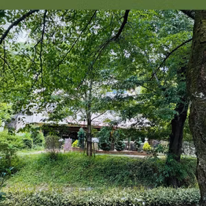 貴船パワー、双子座新月からようやく動き出した🌿