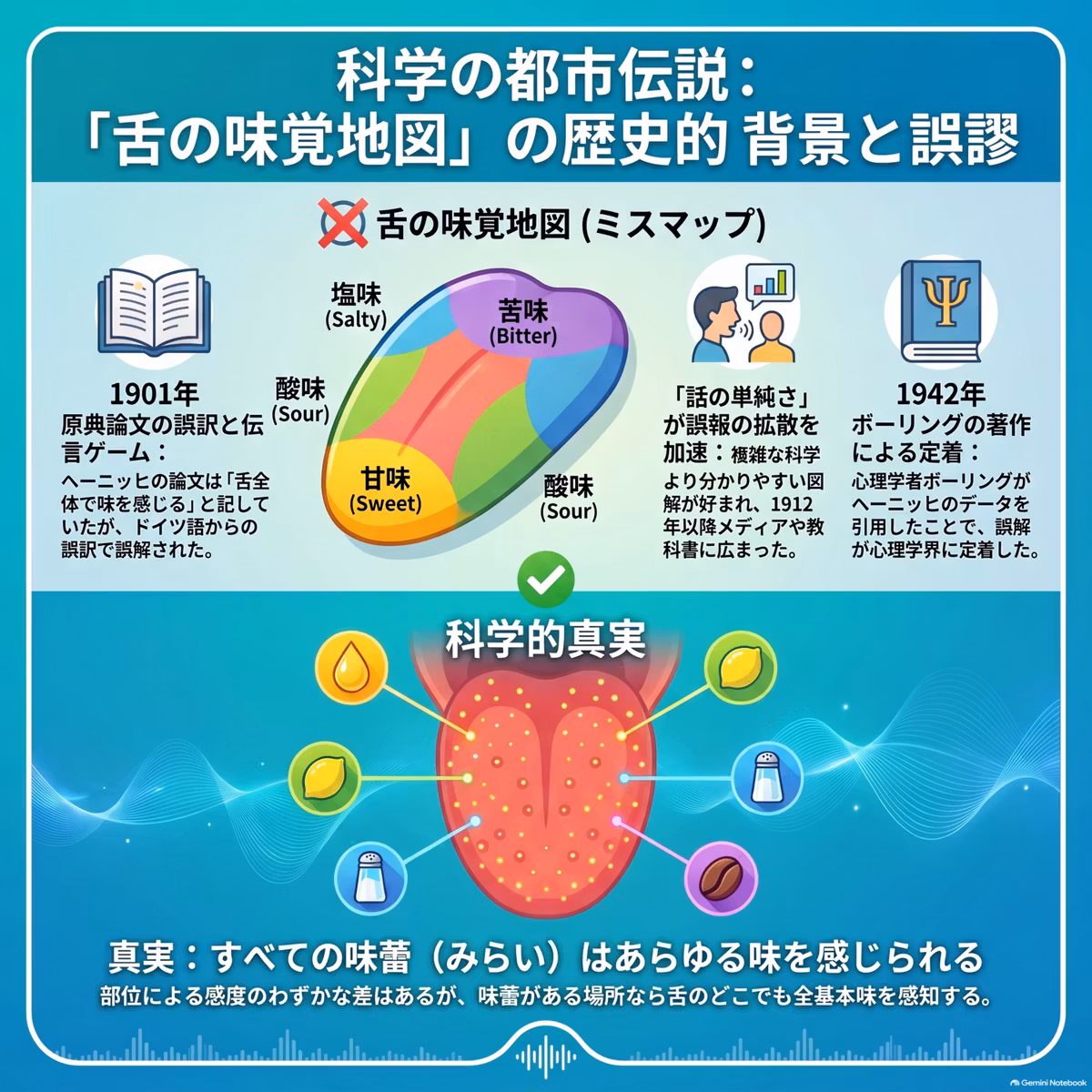 「舌の味覚地図」は誤解？科学が解き明かす本当の味覚の仕組み