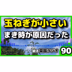 玉ねぎが小さいまま冬を迎える。原因は種まき時期【朝活菜園ラジオ】