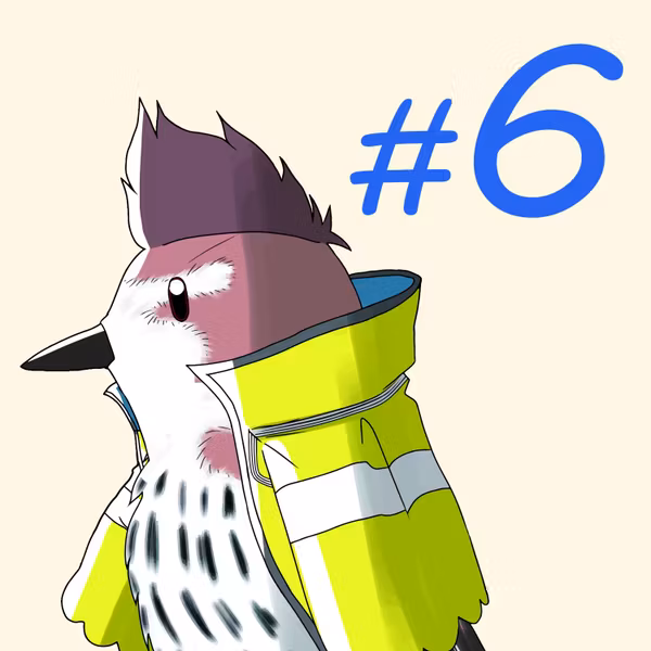 第6羽：『走れキツツキ』