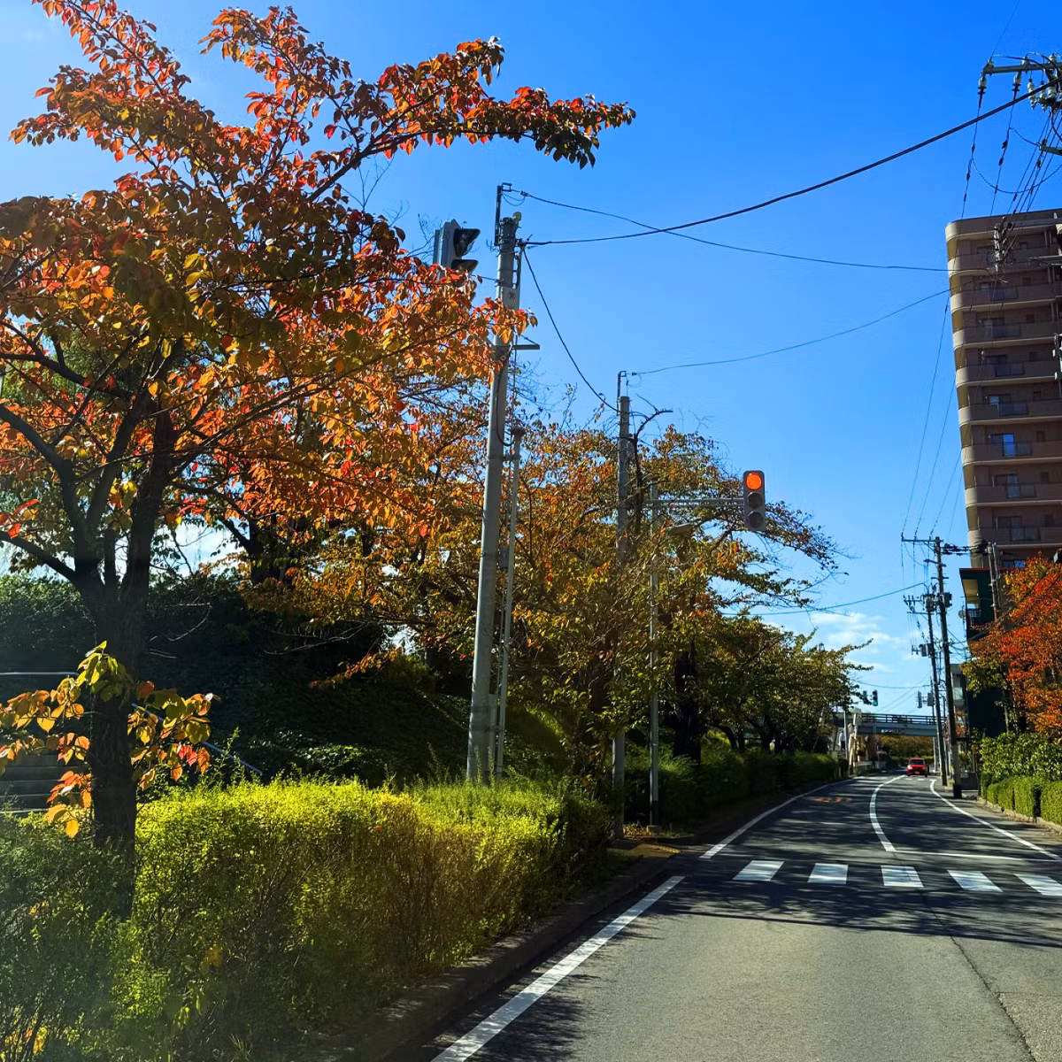 2026.10.17 秋を感じる車検の道中、明日から北海道へ