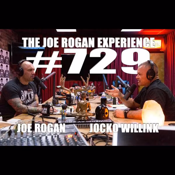 #729 - Jocko Willink