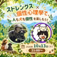【LIVE】たまきさん🌳ストレングス×個性心理學で、人も犬も個性を楽しもう😆🐶‼️