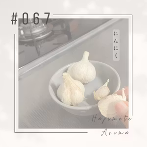 第６７話 / にんにく