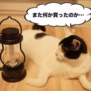 生粋のインドア派だけどバルミューダのちょっと高いランタンを買う