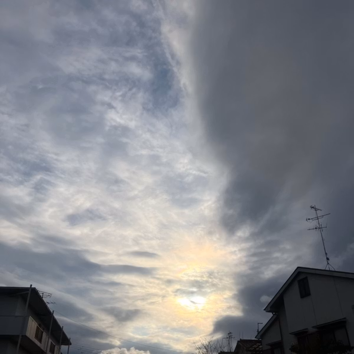 『家族ブロック』と向き合う