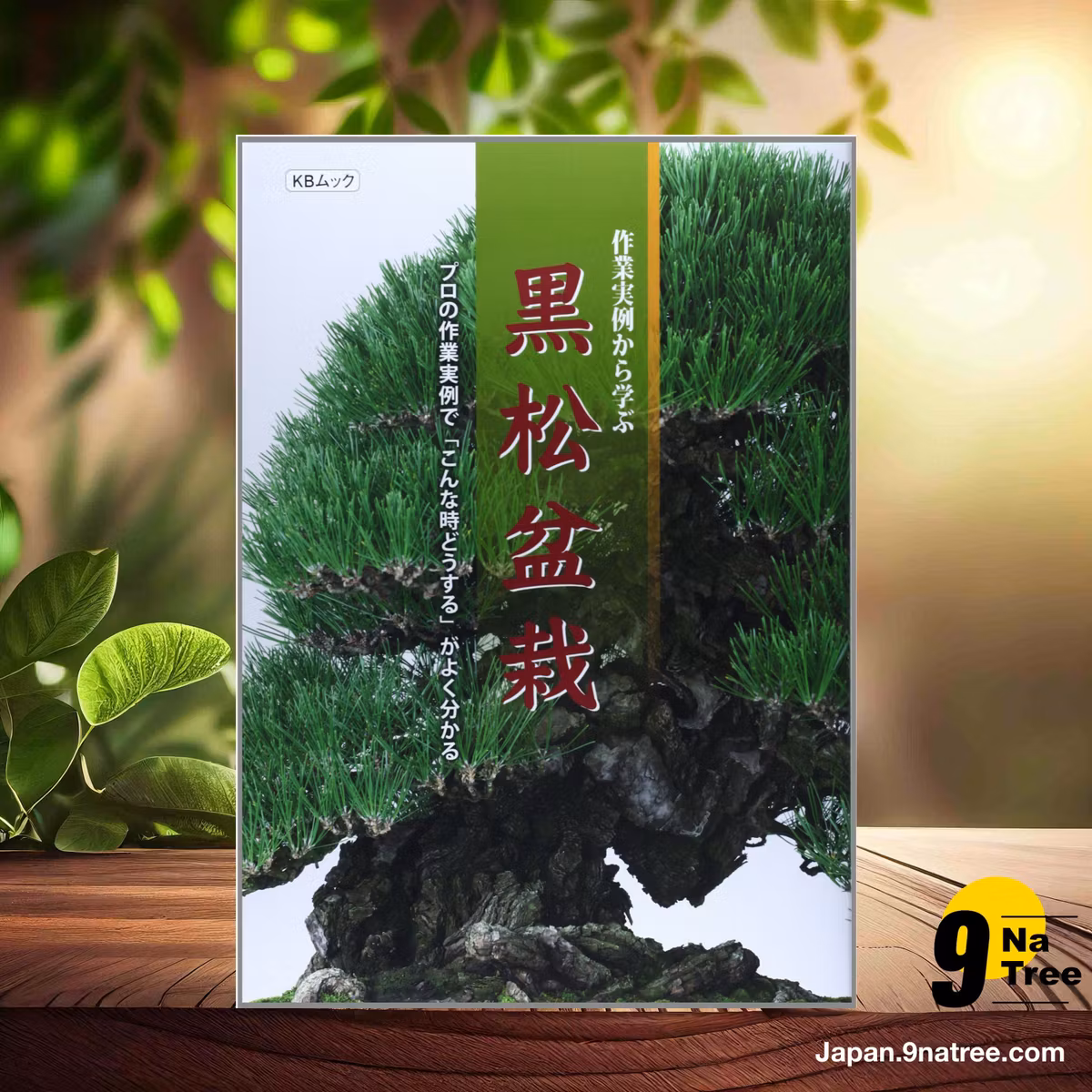                     [レビュー] 作業実例から学ぶ黒松盆栽 (月刊「近代盆栽」編集部) 要約した.                