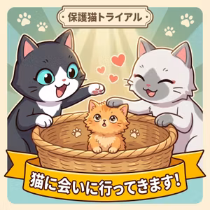 猫に会いに行ってきます！🐾