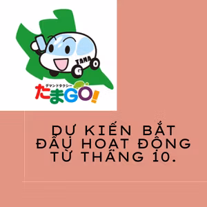 Dự kiến ​​bắt đầu hoạt động từ tháng 10.