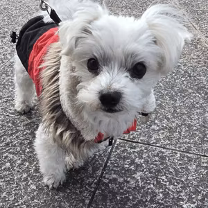 2月17日　[川おさんぽ]　🌤️　晴れ時々曇り