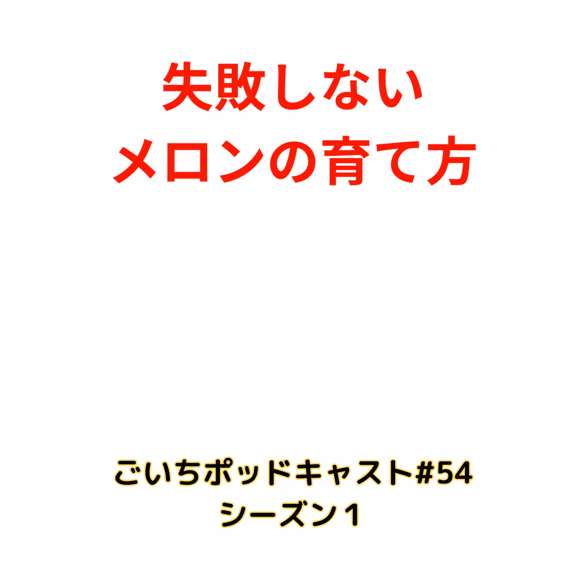 失敗しないメロンの育て方#54｜ごいち 家庭菜園がおもしろい シーズン１