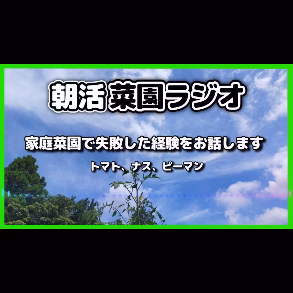 家庭菜園で失敗した経験をお話します【サラリーマンの朝活菜園ラジオ】