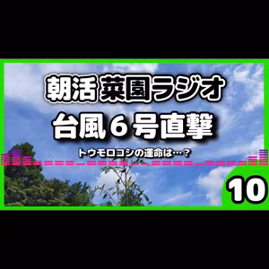 台風一過の畑点検／トウモロコシは無事？＆ダイソーの新型？クリップが気になる【朝活菜園ラジオ】