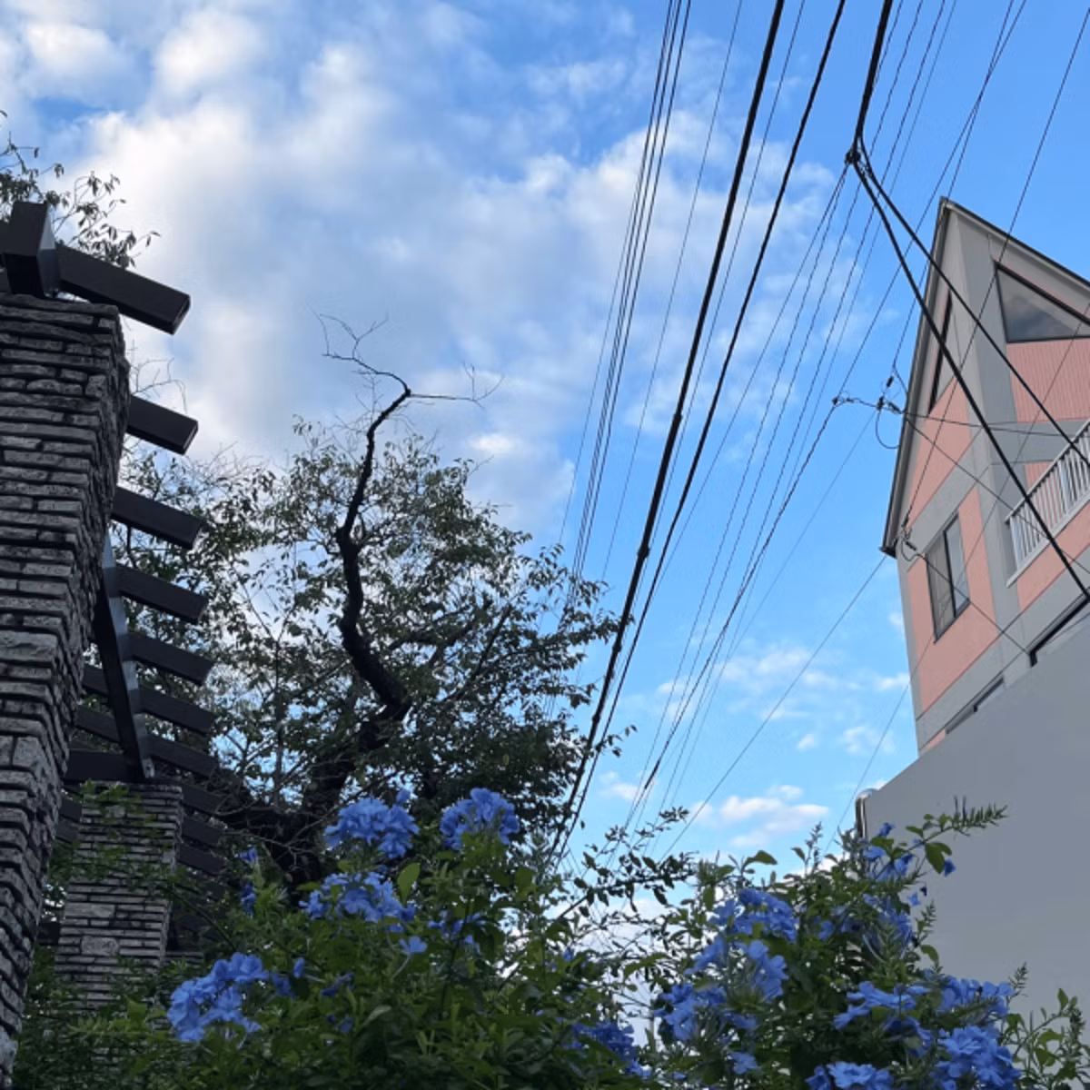まったり雑談＆時々性教育 ライブ