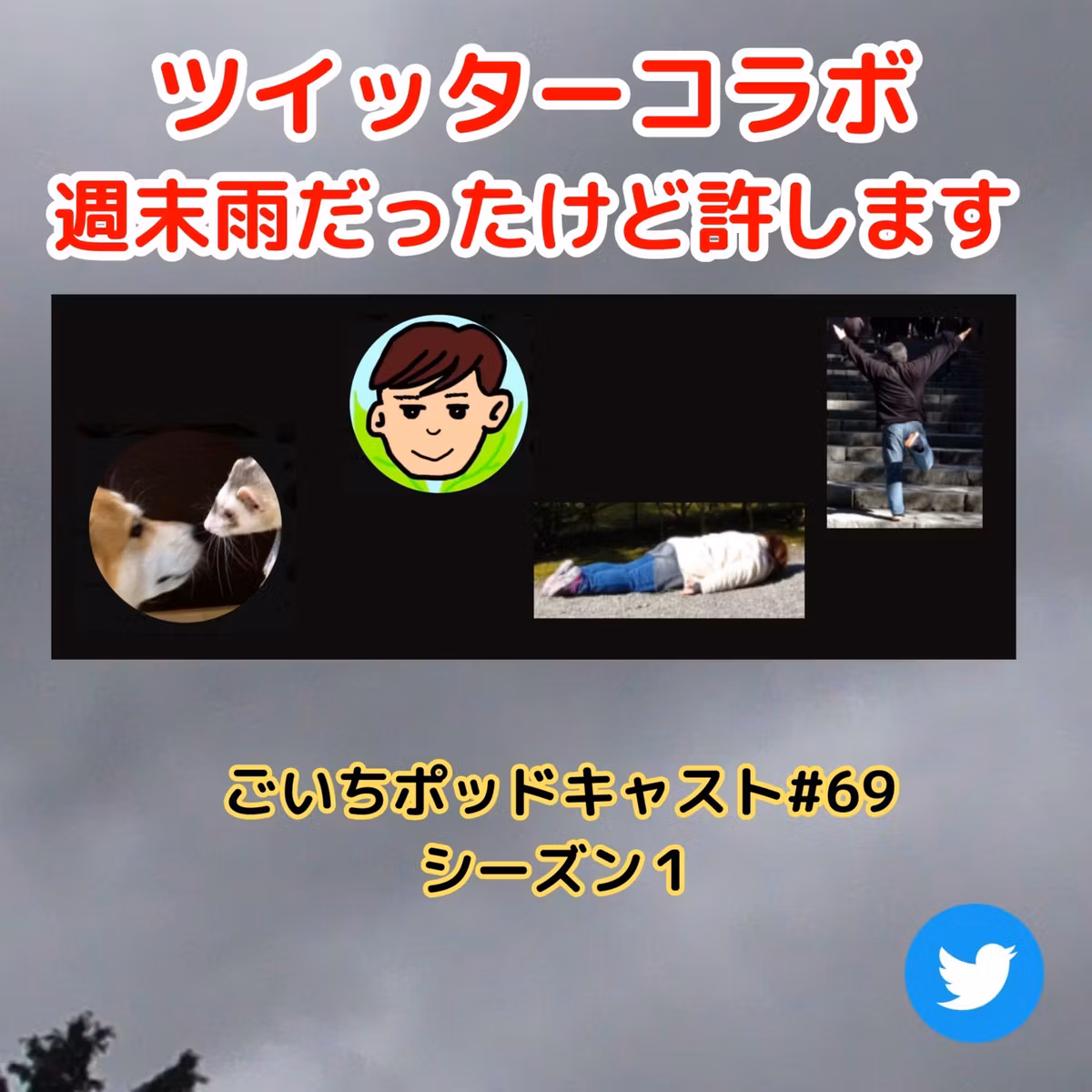 今週も週末雨だったけど許します#69｜ごいち 家庭菜園がおもしろい シーズン１
