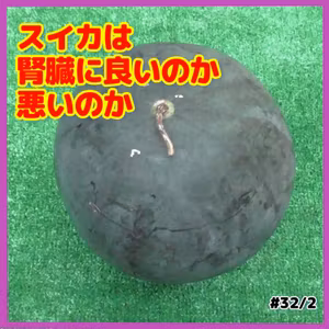 スイカは腎臓に良いのか悪いのか#32｜ごいち 家庭菜園がおもしろい シーズン２｜Is watermelon good or bad for your kidneys? #podcast