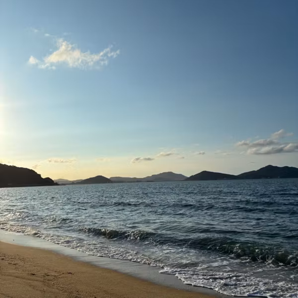 洗濯機をじっと眺めている人はいないって話
