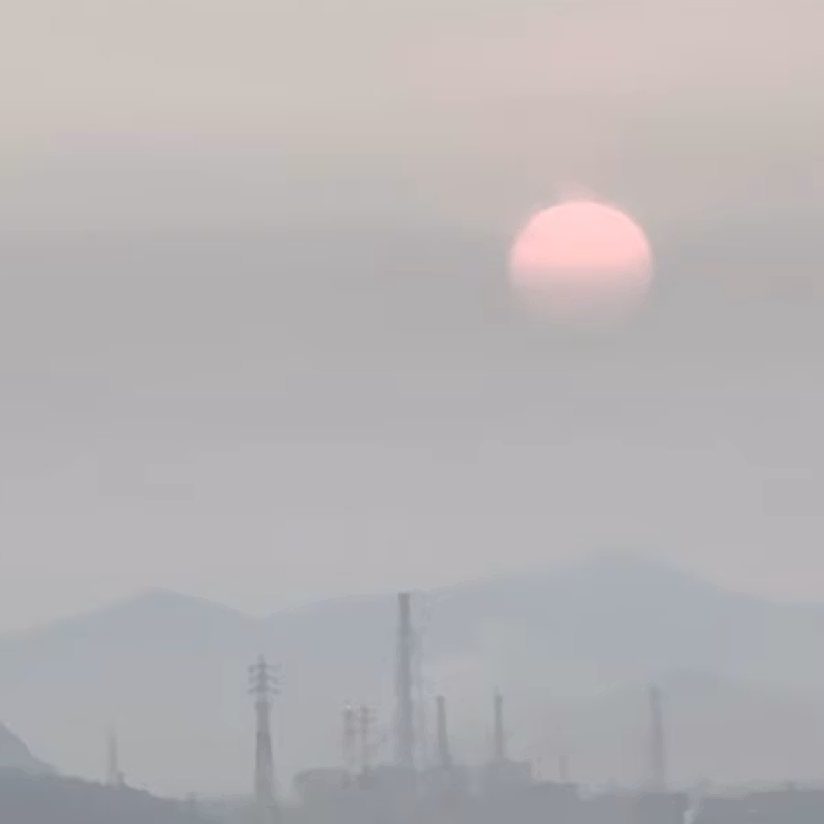 Sunrise Coffee and Cherry Blossoms at the Lookout (2026年3月28日いつもの展望台から)