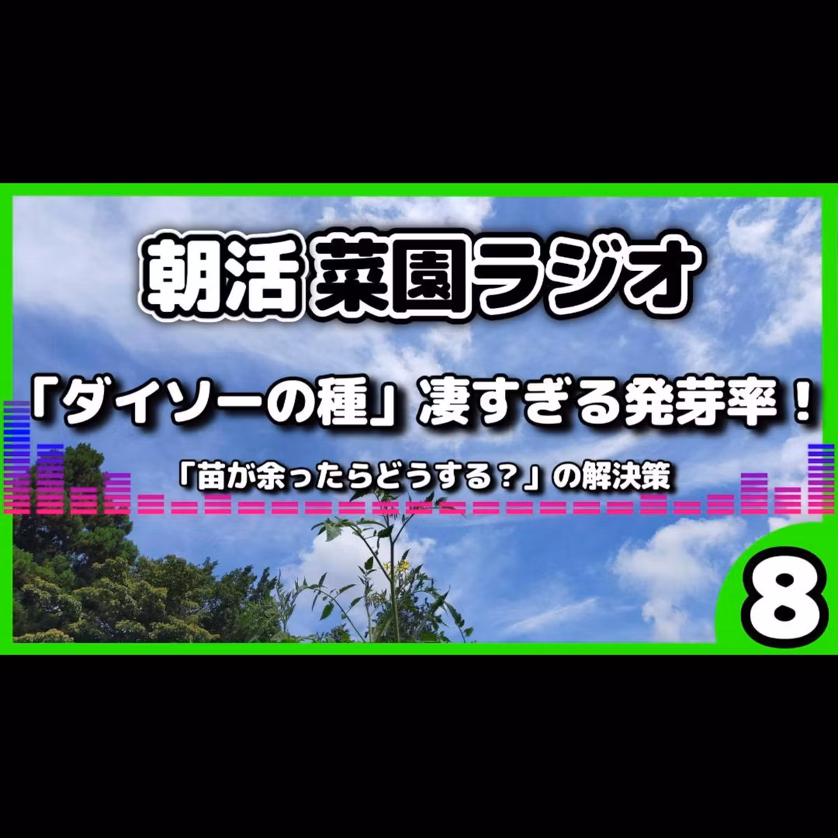 【ダイソーの種】30粒がほぼ発芽！家庭菜園ド素人さんからの嬉しい報告＆夏野菜を育てる「次のステップ」【朝活菜園ラジオ】