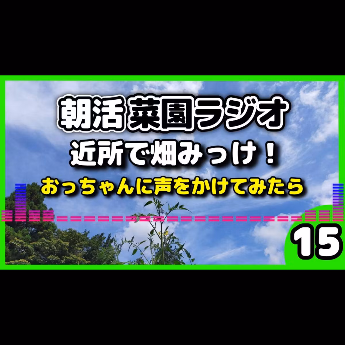 朝ウォーキングのコースを変えて畑を見つけ、おっちゃんに声かけてみた【朝活菜園ラジオ】