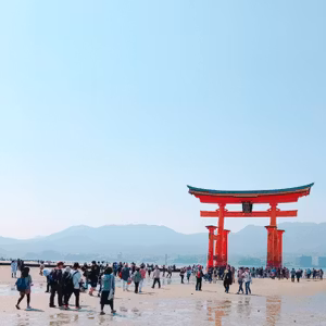 ヨガの完全呼吸法