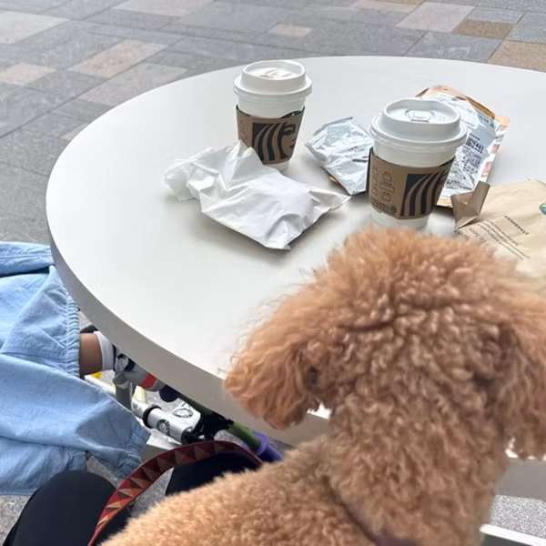 #53 重なる時は重なる。脳内パンク＆やる気ゼロのSOSラジオ