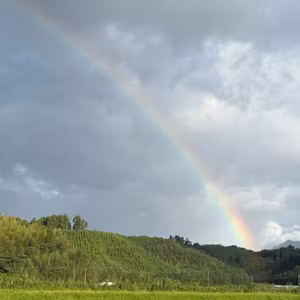 今虹出てるよ✨虹シェア時瞬ライブ🌈