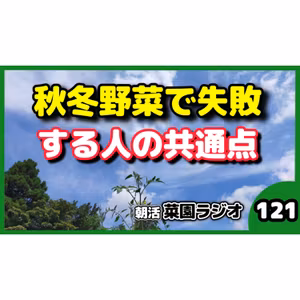 秋冬野菜が育たない原因は「植えすぎ」かもしれません【朝活菜園ラジオ】