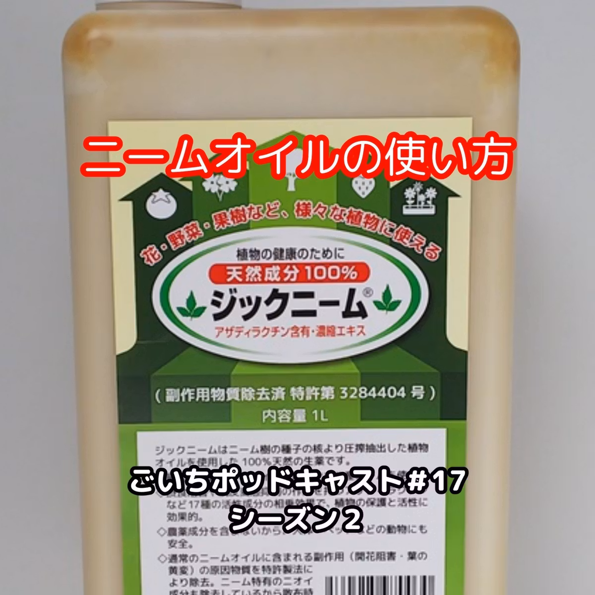 ニームオイルの使い方#17｜ごいち 家庭菜園がおもしろい シーズン２｜How to use neem oil #podcast