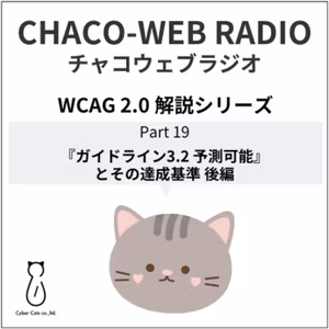 #37 WCAG 2.0 解説シリーズPart19「『ガイドライン3.2 予測可能』とその達成基準 後編」