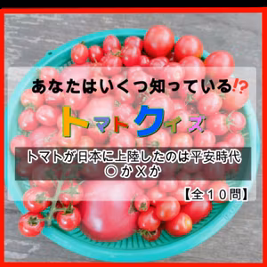 あなたはいくつ知っていますか？トマト知識１０問 | ごいちポッドキャスト Goichi Podcast