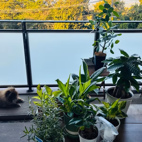 心の余白が育ててくれたもの🌿
