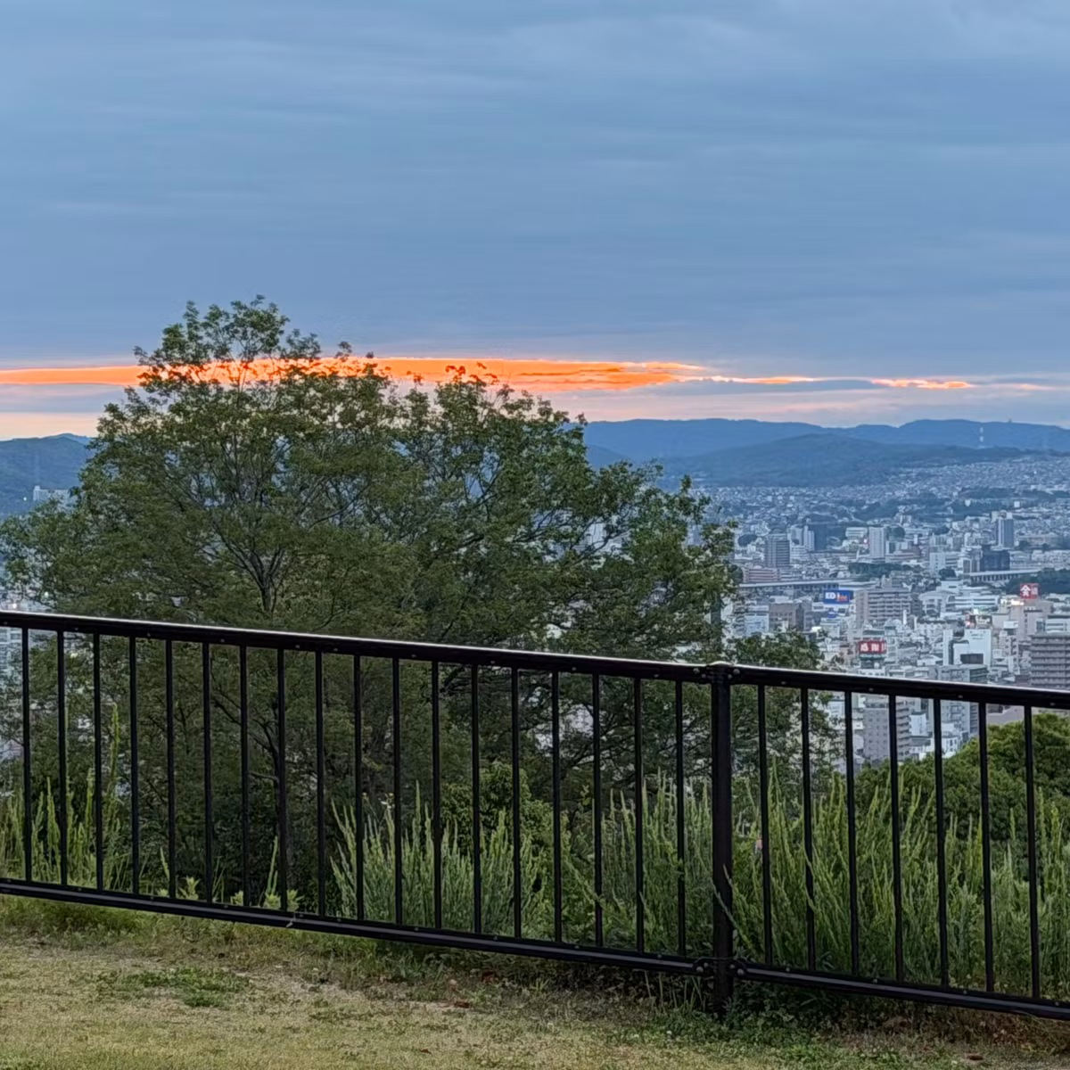 Dawn Watch: Morning Dialogue at the Observatory (いつもの展望台から2026年5月23日)